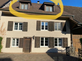 Ruhige 2 Zimmer Wohnung